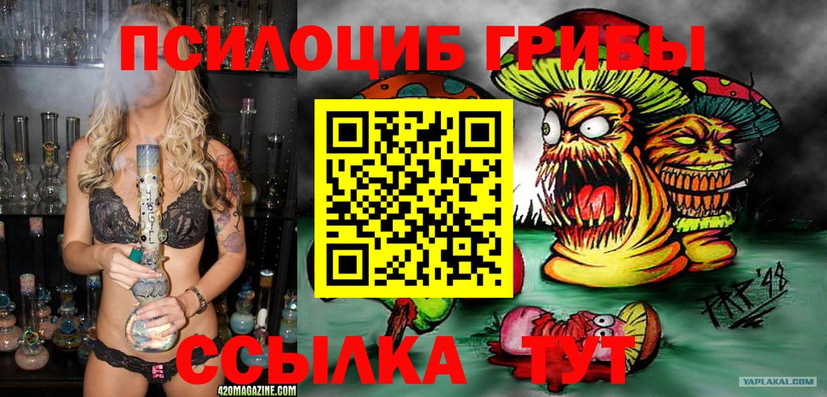 Псилоцибиновые грибы ЛСД  купить наркотик  Углич  Псилоцибиновые грибы Psilocybine cubensis  Вход с VPN 